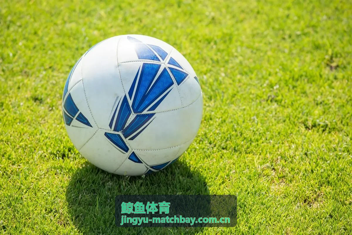 鲸鱼体育球迷社区编辑精选：主场看台文化观察